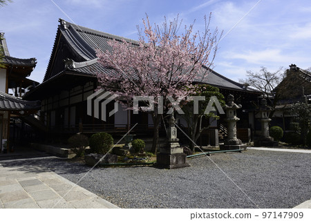 清城會院櫻八須賀 97147909