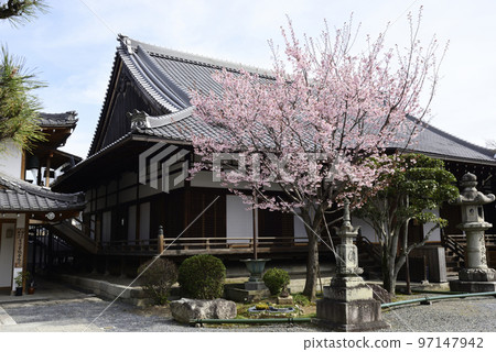 清城會院櫻八須賀 97147942