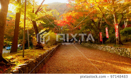 Autumn leaves at the Bishamondo gate 97148483