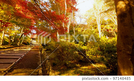 Autumn leaves at the Bishamondo gate Autumn leaves at the Bishamondo gate 97148485