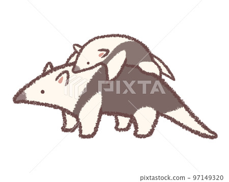 韓國食蟻獸的父母和孩子 97149320