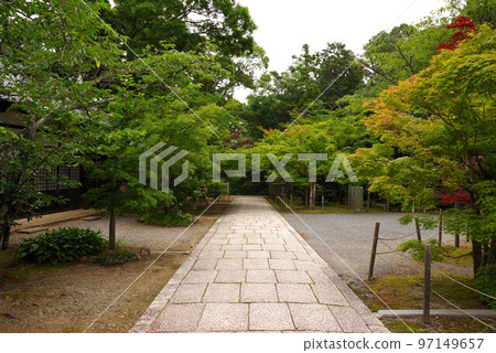 初夏的長岡京光明寺 初夏的長岡京光明寺 97149657