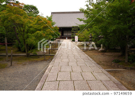 初夏的長岡京光明寺 97149659