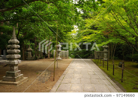 初夏的長岡京光明寺 初夏的長岡京光明寺 97149660
