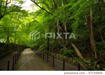 Nagaokakyo Komyo-ji Temple scenery Nagaokakyo Komyo-ji Temple scenery 97149868