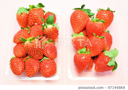 Tochiotome and Tochiaika pack strawberries Tochiotome and Tochiaika pack strawberries 97149869
