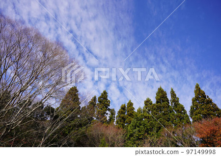 Fresh autumn sky Fresh autumn sky 97149998