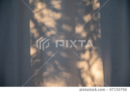 Plant shadows background on the curtains in the window 97150798