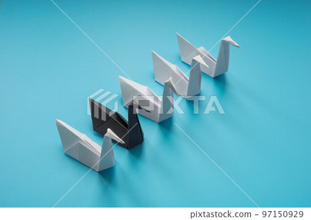 Paper swans, whites and different one as concept of black swan theory. Paper swans, whites and different one as concept of black swan theory. 97150929