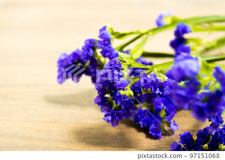 Statis Statis 97151068