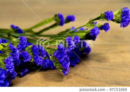 Statis Statis 97151069