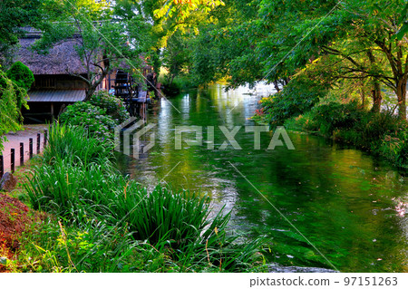 Rural landscape with beautiful hydrangeas and fresh greenery in Shinshu, Daio Wasabi Farm's water wheel and clear water flow, Azumino City, Nagano Prefecture (1) 97151263