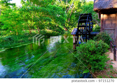 Shinshu Countryside scenery, Daio Wasabi Farm's water mill and clear water flow, Azumino City, Nagano Prefecture (4) Shinshu Countryside scenery, Daio Wasabi Farm's water mill and clear water flow, Azumino City, Nagano Prefecture (4) 97151270