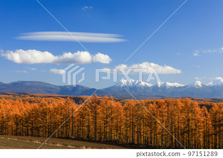 [北海道美瑛町]藍天、十勝岳聯邦和紅葉 97151289