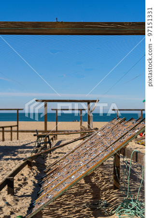 Fish drying on the beach in Nazare Fish drying on the beach in Nazare 97151331
