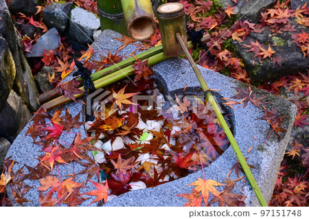 Sakyo Ward, Kyoto City, Anraku-ji Temple in Autumn 97151748