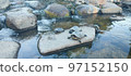 Specimen of European turtle on a rock inside a terrarium 97152150