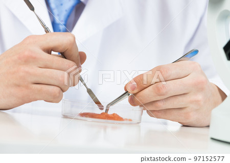 Microbiologist researching sample in petri dish. 97152577
