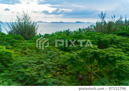 Above the treetops. 97152706