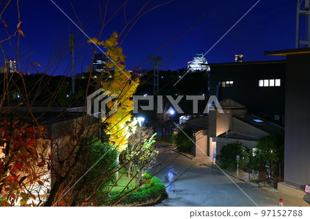 [大阪府]從大阪城庭園看到的大阪城夜景 97152788