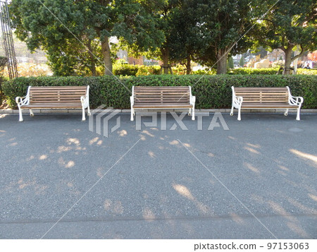 A lot of benches A lot of benches 97153063