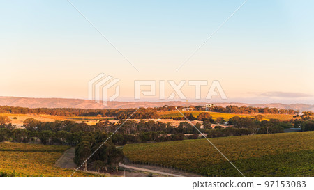 McLaren Vale panorama at sunset 97153083