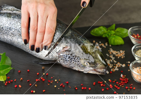 Chef cutting fresh salmon in kitchen. woman chef cuts salmon into pieces 97153835