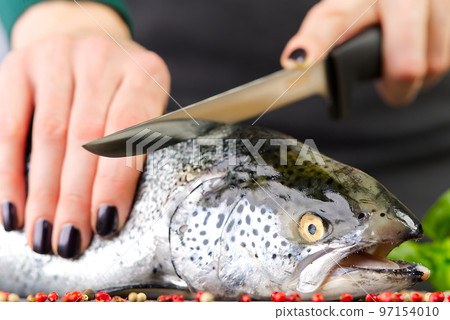 Chef cutting fresh salmon in kitchen. woman chef cuts salmon into pieces Chef cutting fresh salmon in kitchen. woman chef cuts salmon into pieces 97154010