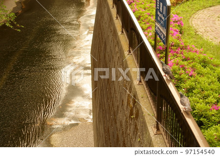 The flow of the Meguro River The flow of the Meguro River 97154540