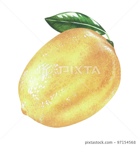 Yellow lemon with leaf. Watercolor illustration. Isolated on a white background. For your design stickers, nature prints, kitchen accessories, product packaging with citrus acid or scent 97154568