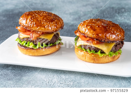 Hamburgers on the plate 97155829