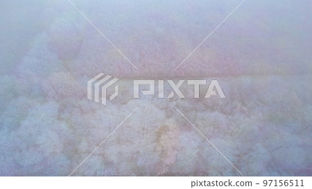 Aerial view or top view of winter forest, pine tree with snow covered. Winter background shot by a Aerial view or top view of winter forest, pine tree with snow covered. Winter background shot by a 97156511