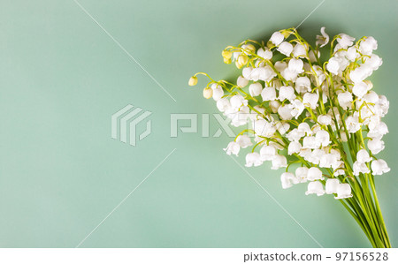 Bouquet of lilies of the valley on green background Bouquet of lilies of the valley on green background 97156528
