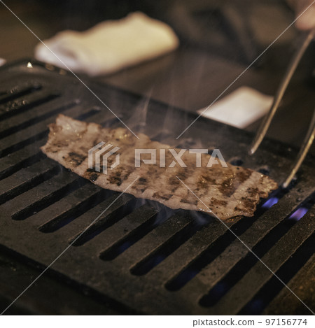 Grilled meat 97156774