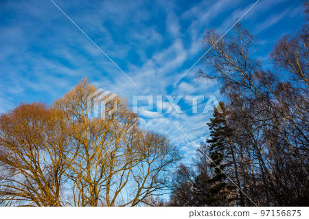 Altostratus clouds on a blue sky 97156875