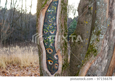 Eyes of owls painted in a hollow tree 97156876