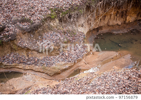 The growth of a new ravine in the forest The growth of a new ravine in the forest 97156879