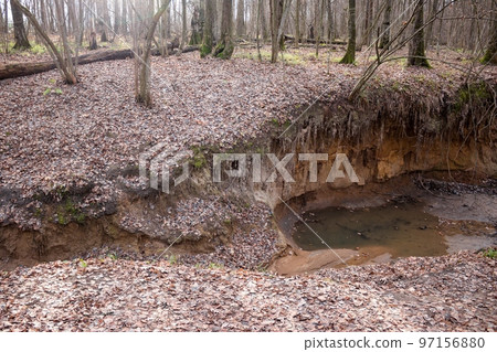 The growth of a new ravine in the forest The growth of a new ravine in the forest 97156880