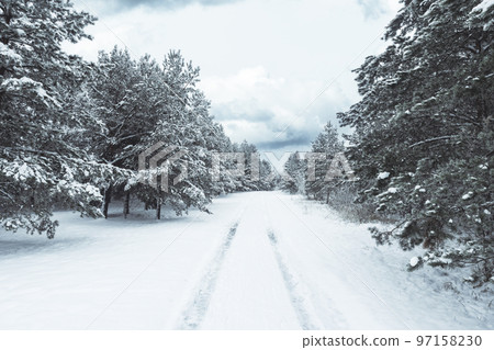 Winter road through the forest 97158230