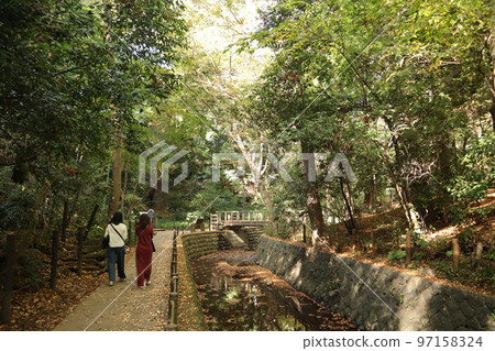 Autumn's iso-torrent valley Autumn's iso-torrent valley 97158324