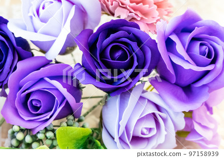 紫玫瑰 97158939