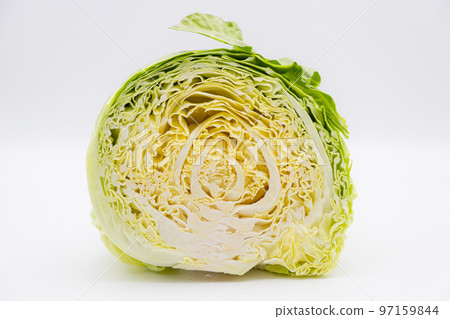 Cross section of spring cabbage Cabbage cut in half 97159844