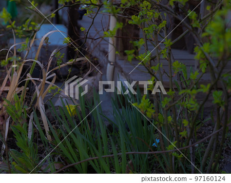 country cat hideout 97160124
