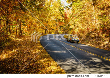 Road through fall forest Road through fall forest 97160462