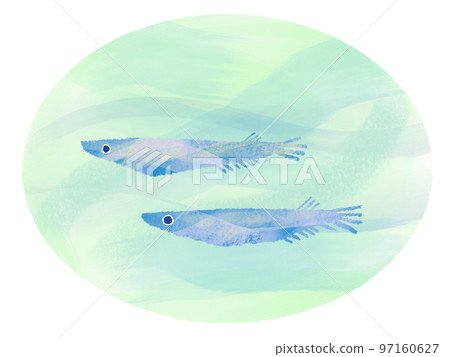 手繪水彩風格插圖,描繪了一群在水中游泳的 medaka 背景 手繪水彩風格插圖,描繪了一群在水中游泳的 medaka 背景 97160627