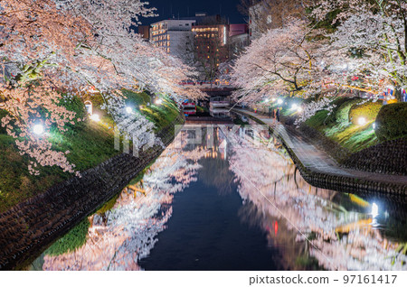 松川沿岸的櫻花燈飾 松川沿岸的櫻花燈飾 97161417