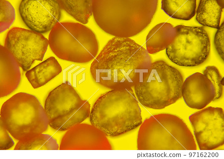 salt crystals salt crystals 97162200