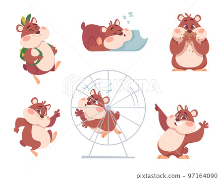 Hamster characters. Funny domestic fluffy animals in action poses home swanky pets exact vector cartoon hamsters Hamster characters. Funny domestic fluffy animals in action poses home swanky pets exact vector cartoon hamsters 97164090