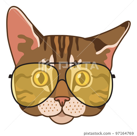Cat head. Funny hipster avatar with yellow glasses, cute animal portrait, fashion character, trendy kitten, single sticker, stylish muzzle, modern pet, vector cartoon flat illustration 97164769