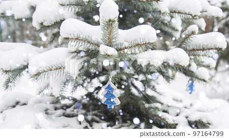 Snow is lying on the branches of a fir tree. Snowfall. Falling snow.  97164799